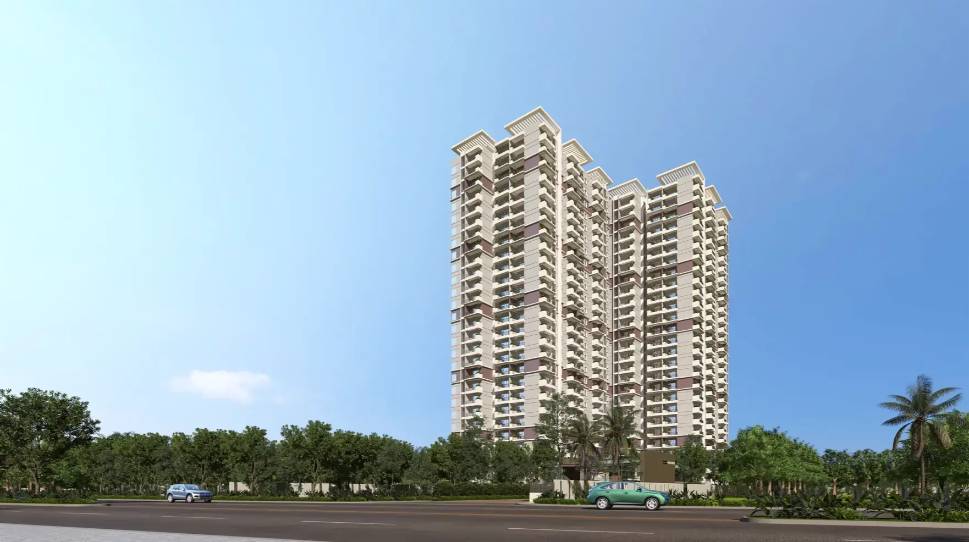 Elevation-11-Abhee-Celestial-City