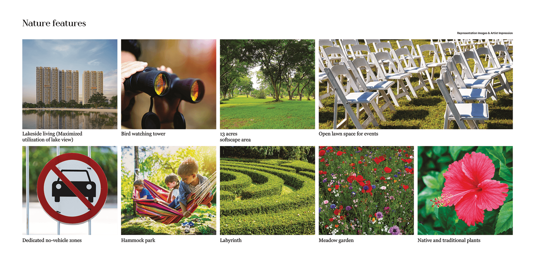 The Right Life Brochure-20